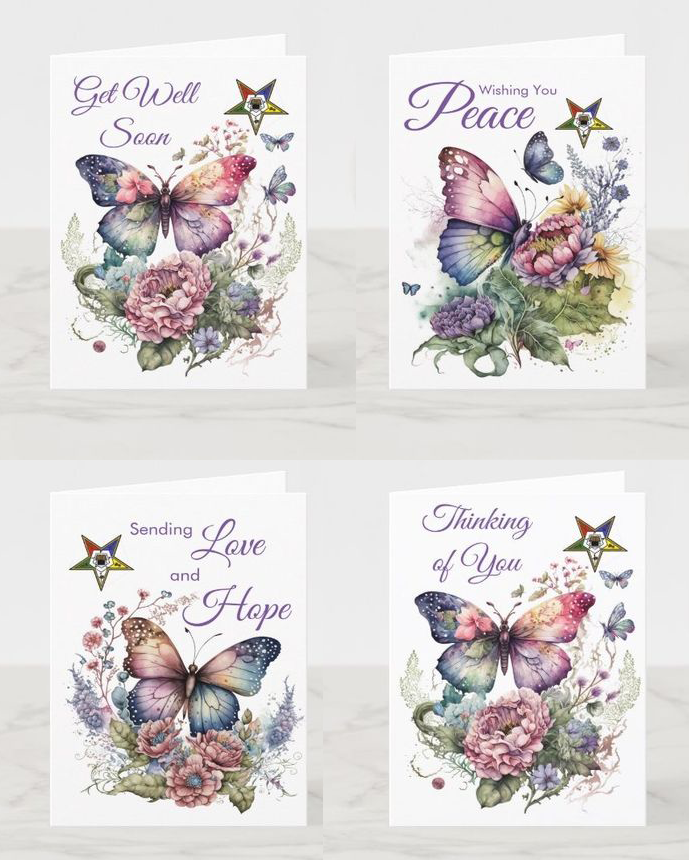 (image for) OES Butterfly Get Well and Encouragement Card Assortment (12)